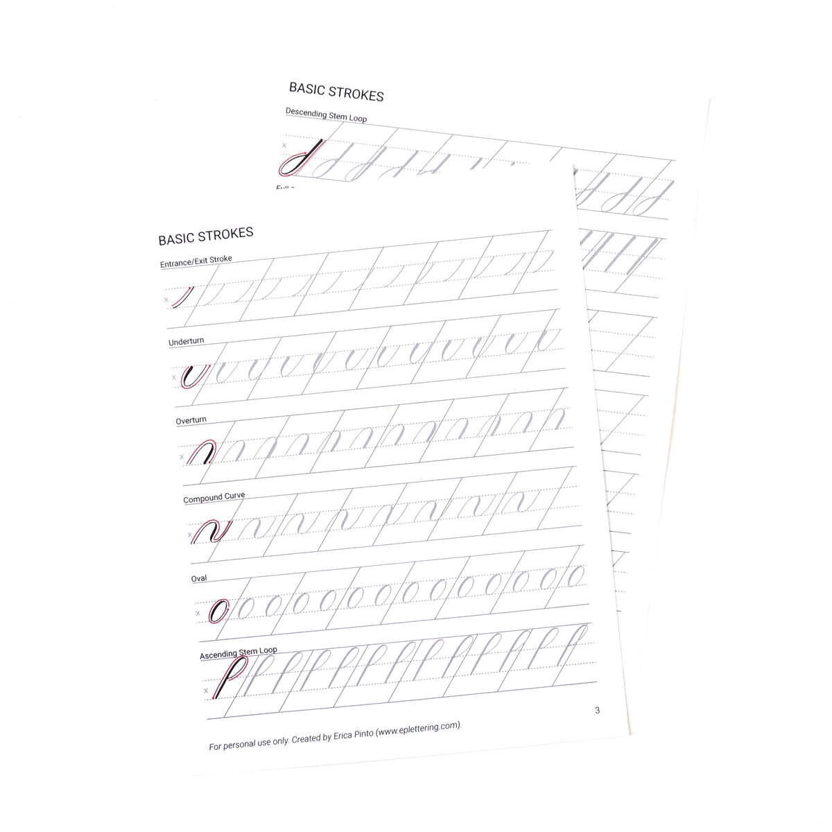 Erica Pinto Hand Lettering - Brush Calligraphy - Beginner Workbook